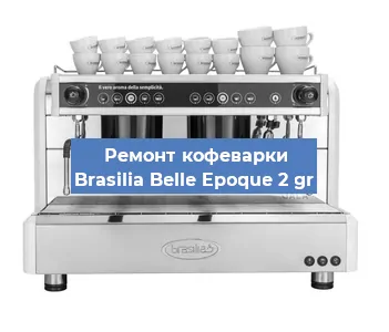 Чистка кофемашины Brasilia Belle Epoque 2 gr от кофейных масел в Ростове-на-Дону